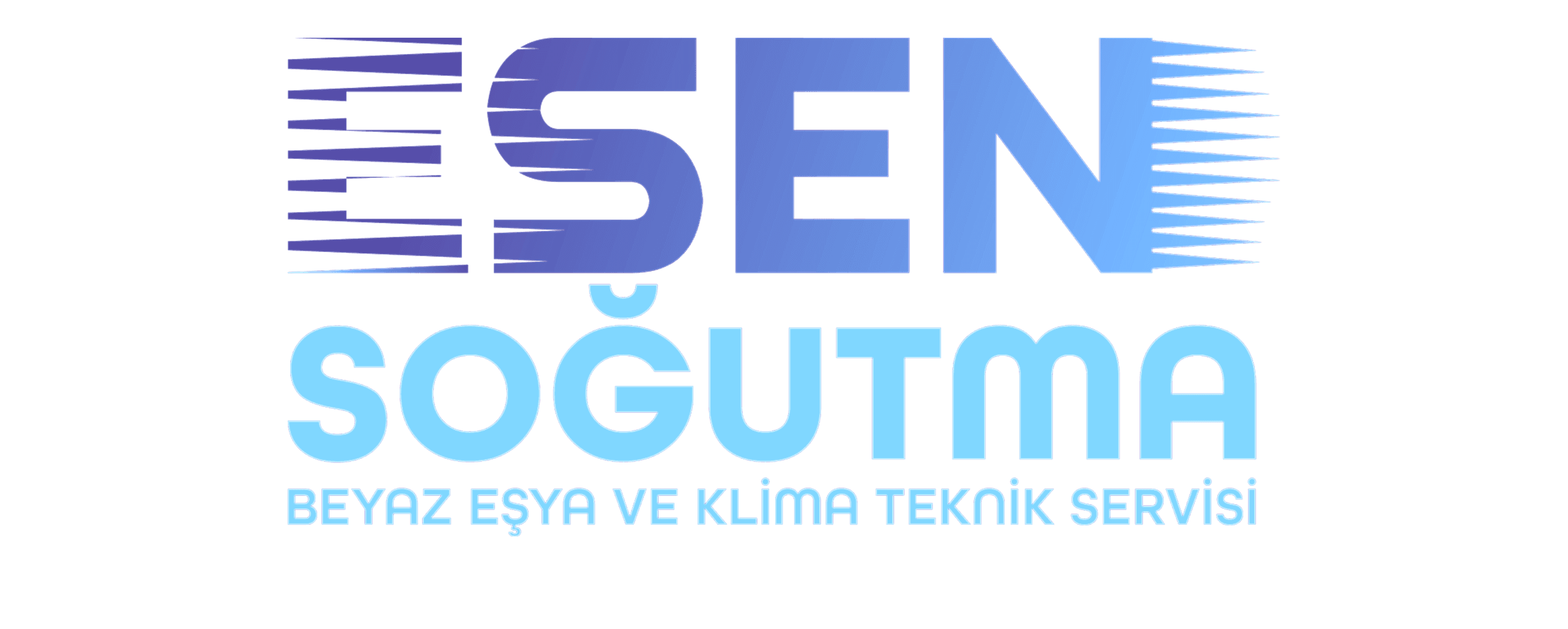logo1